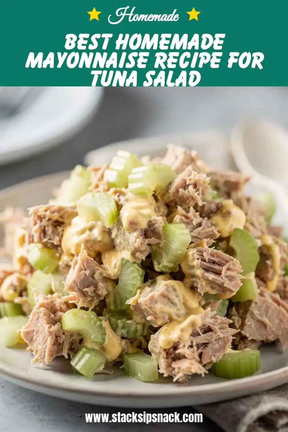 Best Homemade Mayonnaise Recipe for Tuna Salad 10 Storage and leftovers for Best Homemade Mayonnaise Recipe for Tuna Salad