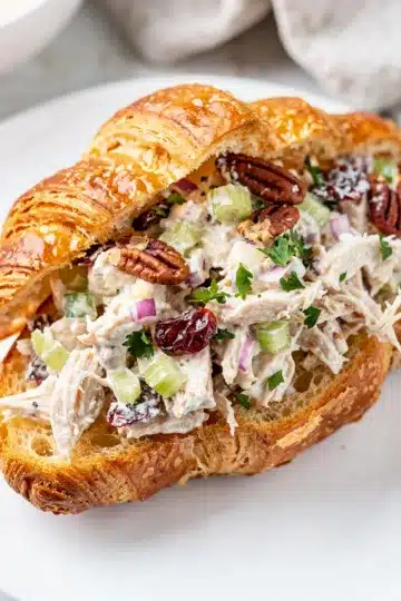 Classic Creamy Chicken Salad Croissant Sandwich 11 Creamy chicken salad croissant sandwich with celery and cranberries on white plate