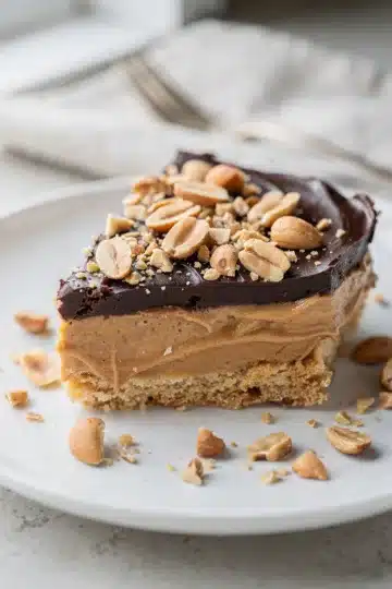 No Bake Peanut Butter Chocolate Lasagna 12 Rich chocolate peanut butter lasagna cross section dessert slice.