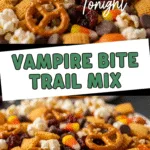 Vampire Bite Trail Mix Recipes That Will Thrill Your Taste Buds 2 Vampire Bite Trail Mix close-up with popcorn pretzels candy corn chocolate