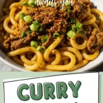 Curry Udon Recipes That Will Transform Your Weeknight Dinners 2 Curry udon noodles with tender beef and rich golden-brown broth.