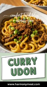 Curry udon noodles with tender beef and rich golden-brown broth.