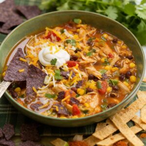 Bold, spicy tortilla soup with chunks of chicken, black beans, and vegetables, topped with baked tortilla strips. Slow Cooker Chicken Tortilla Soup