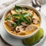 Spicy Thai coconut chicken soup with mushrooms, chili, and cilantro garnish.