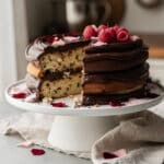 Valentine's Day layer cake with vanilla bean and chocolate frosting.