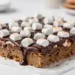 No bake s'mores cookie bars with rich chocolate and marshmallows.